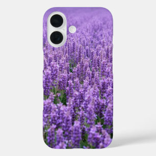 Endless Lavender Field iPhone 16 Case