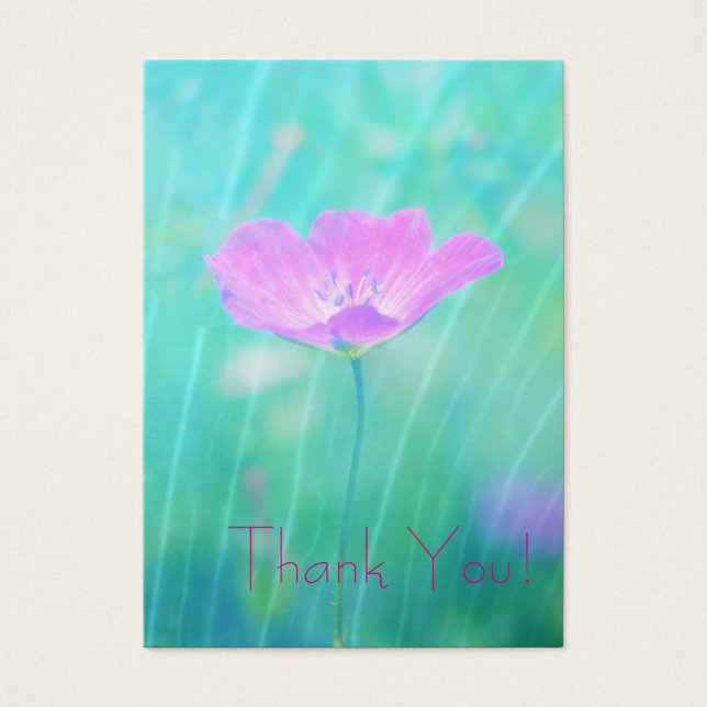 endless summer (Front)