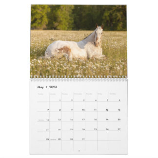 Endo The Blind 2023 Calendar