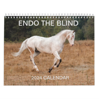 ENDO THE BLIND - Calendrier 2024