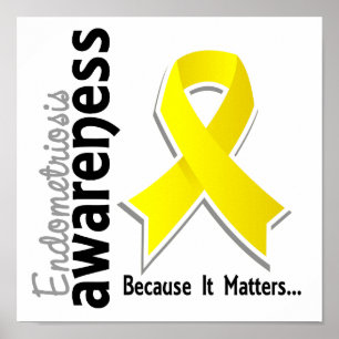 Endometriosis Awareness 5 Poster