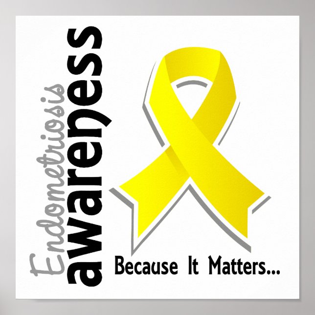 Endometriosis Awareness 5 Poster (Front)