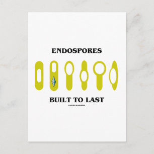 Endospores Built To Last (Bacterial Attitude) Postcard