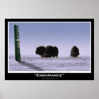 "ENDURANCE" Musk Oxen & Totem Pole Pole Art Poster