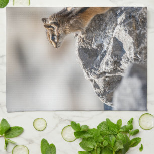 Energetic Chipmunk – Outdoor Wildlife Kitchen Towel