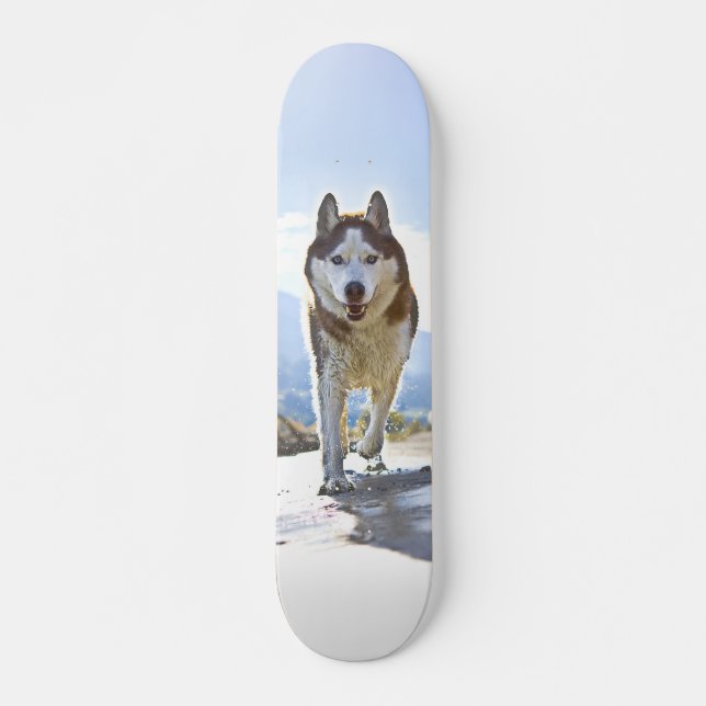 Energetic Skate Siberian Husky Walking Skateboard (Front)