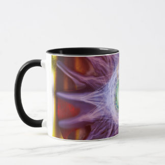 Énergie de la tasse d'étoile
