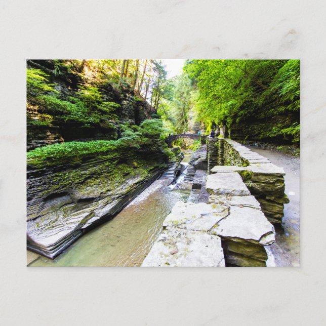 Enfield Glen, Robert H Treman State Park, NY Postcard (Front)