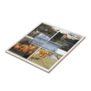 ENG041 THE NEW FORET NATIONAL PARK England, Tile