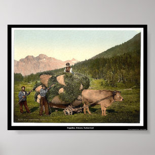 Engadine, Grisons, Switzerland Poster