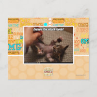 Engage tiny attack mode!