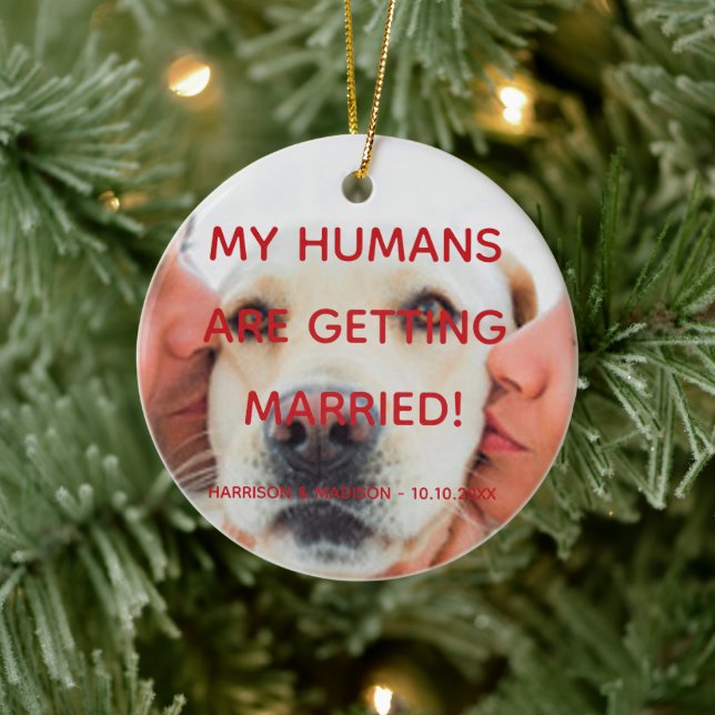 Engagement announcement custom photo dog couple ceramic ornament (Tree)