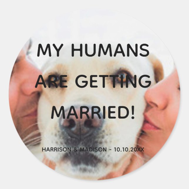 Engagement announcement Custom photo dog couple Classic Round Sticker (Front)