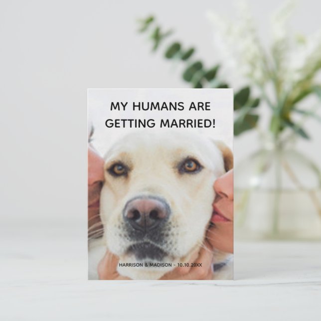 Engagement announcement Custom photo dog postcard (Standing Front)