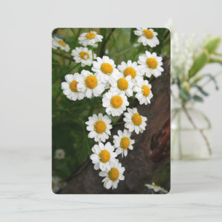 Engagement Bridal shower Invitations