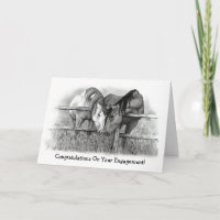 ENGAGEMENT CONGRATS: HORSE LOVERS