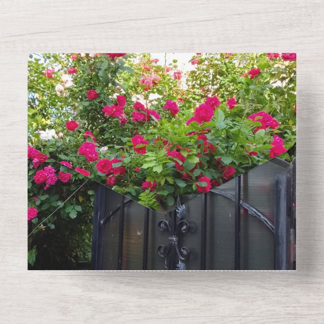 Engagement Invitation Red Roses Gate (Back)