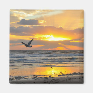 Engagement Proposal Sunrise on the Beach Magnet