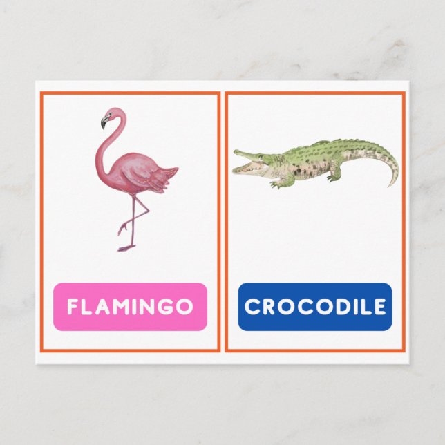 Engaging Wild Animal Flashcards  Postcard (Front)