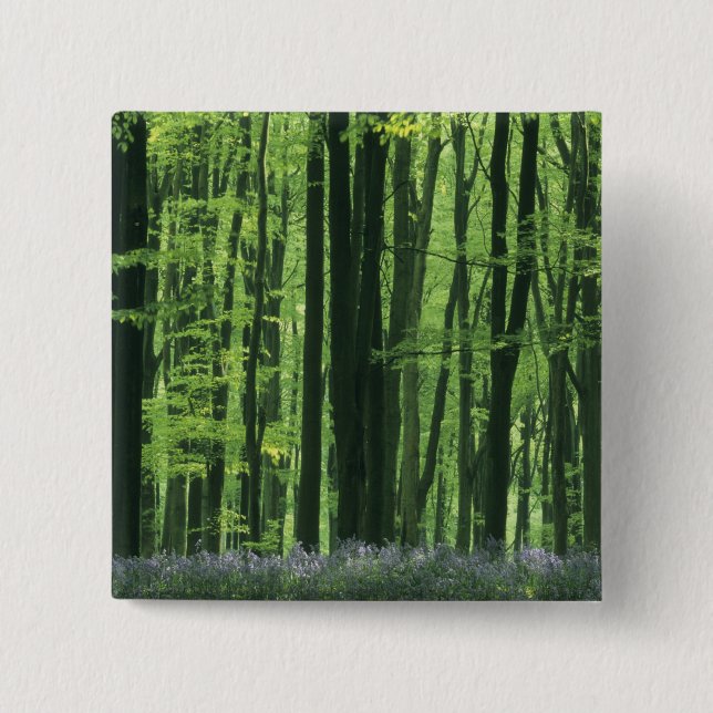England, Beech forest & Bluebells 2 Inch Square Button (Front)