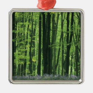 England, Beech forest & Bluebells Metal Ornament