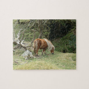 England & Dartmoor Ponny, Wild Horses /Britain Jigsaw Puzzle