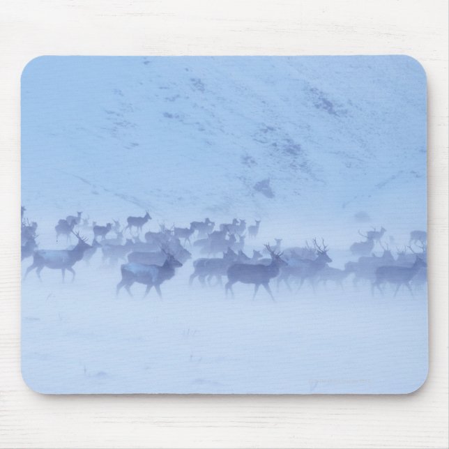 England Mouse Pad (Front)