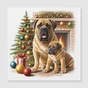 Englische Dogge Mastiff Christmas