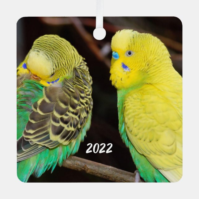 English Budgie Parakeet Ceramic Ornament (Front)