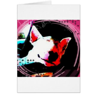 english bull terrier