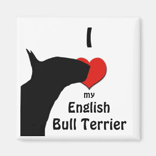 English Bull Terrier Fridge Magnet