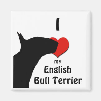 English Bull Terrier Fridge Magnet