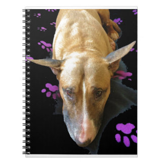 English Bull Terrier Notebook
