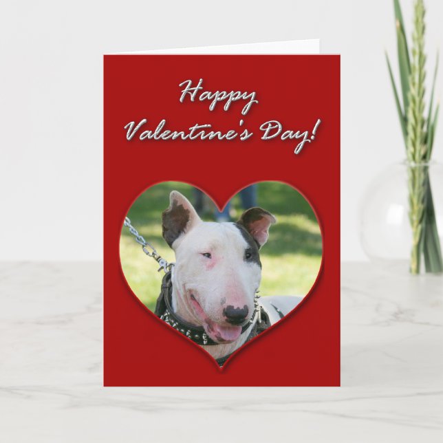 English Bull Terrier Valentines Day Card (Front)