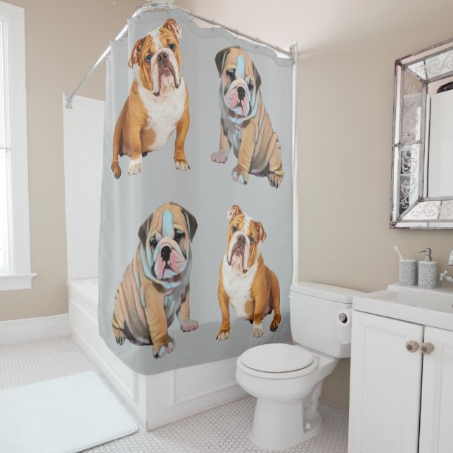 English Bulldog (In Situ)