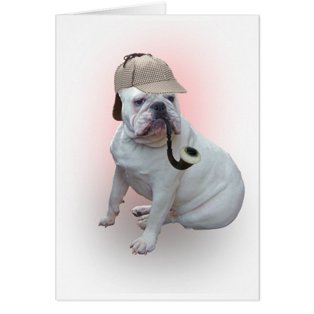 English bulldog (Front)