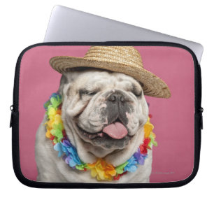 English Bulldog (18 months old) wearing a straw Laptop Sleeve
