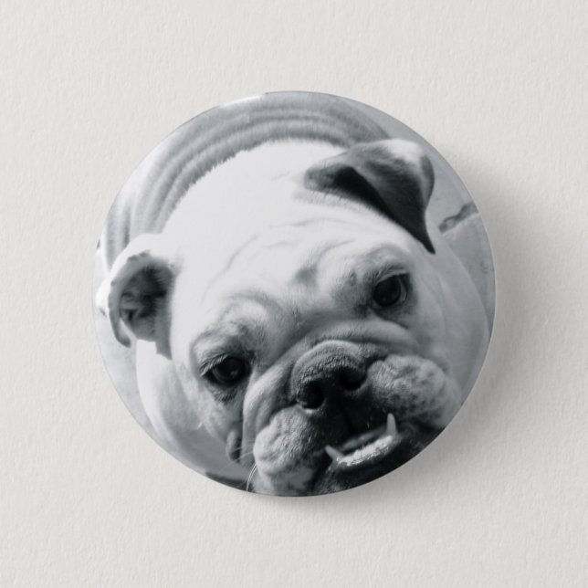 English Bulldog 2 Inch Round Button (Front)