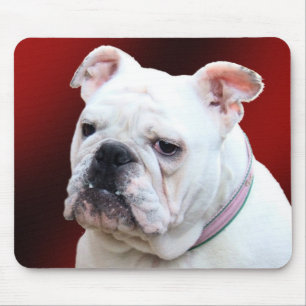 English bulldog 2 mousepad