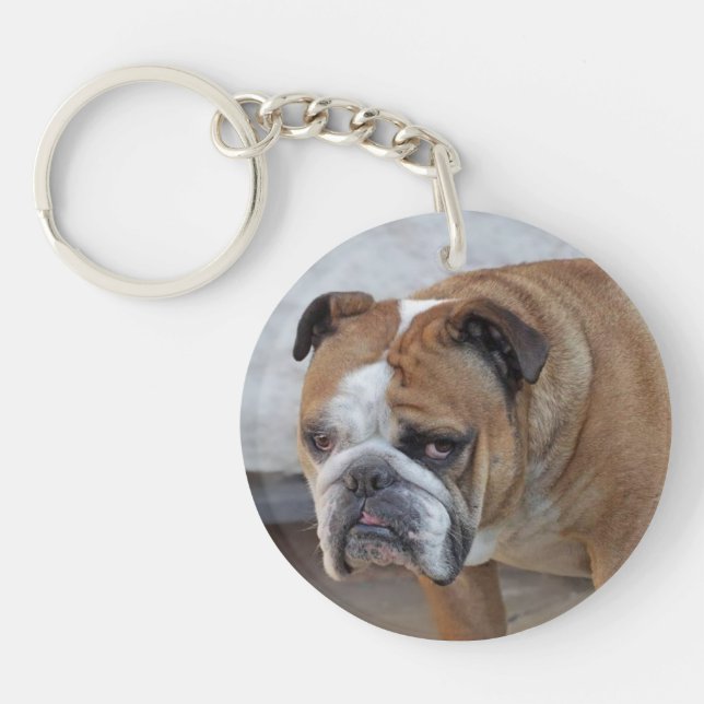 English Bulldog Acrylic Key Ring / Dog Keyring (Front)