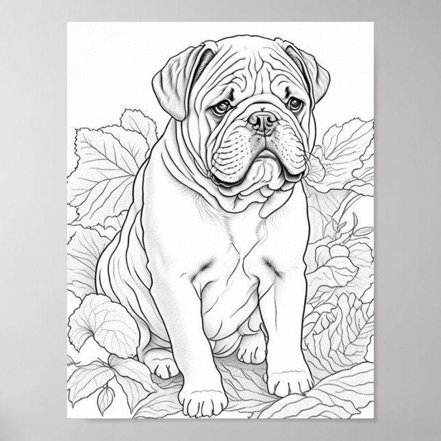 English Bulldog Adult Colouring Poster (Front)