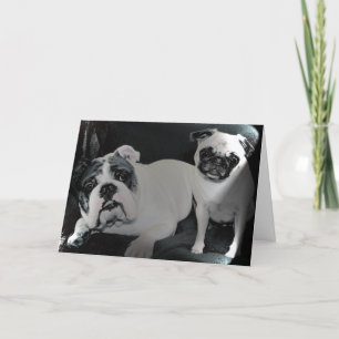English Bulldog and Pug Greeting Card