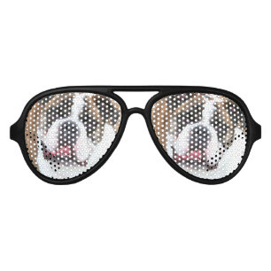 English Bulldog Aviator Sunglasses