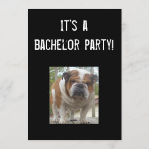 English Bulldog Bachelor Party Invitations