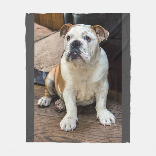 English Bulldog blanket (Front)