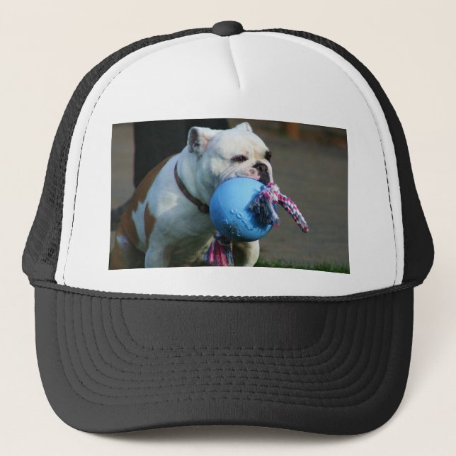 English Bulldog cap (Front)