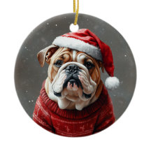 English Bulldog