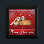 English Bulldog Christmas card Gift Box<br><div class="desc">English Bulldog puppies Christmas card</div>