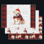 English Bulldog Christmas Dog and Plaid Wrapping Paper Sheet<br><div class="desc">This cute English Bulldog is ready for the holiday season a red and black scarf and Santa cap,  making this dog a real fashionista. This cute Christmas dog is paired with a plaid print in deep red and black on this set of gift wrap for the dog lover.</div>