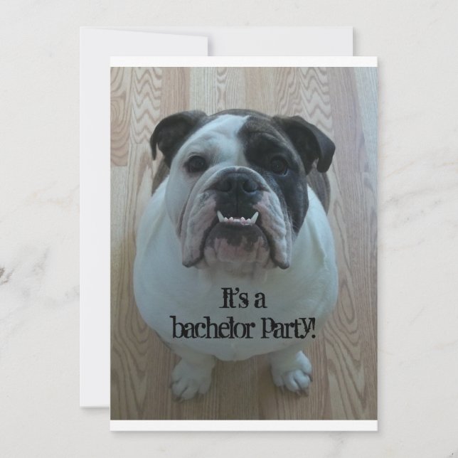 English Bulldog Cool Bachelor Party Invitations (Front)